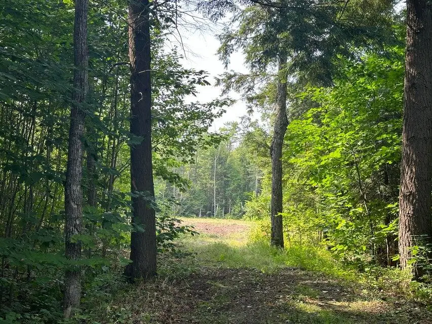 1605 S Mulligan Row, Sault Sainte Marie, MI 49783 - Image #3