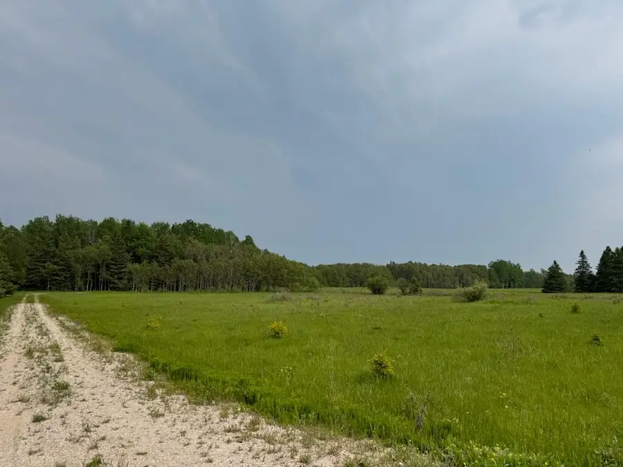 000 N Indian Trl, Engadine, MI 49827 - #2