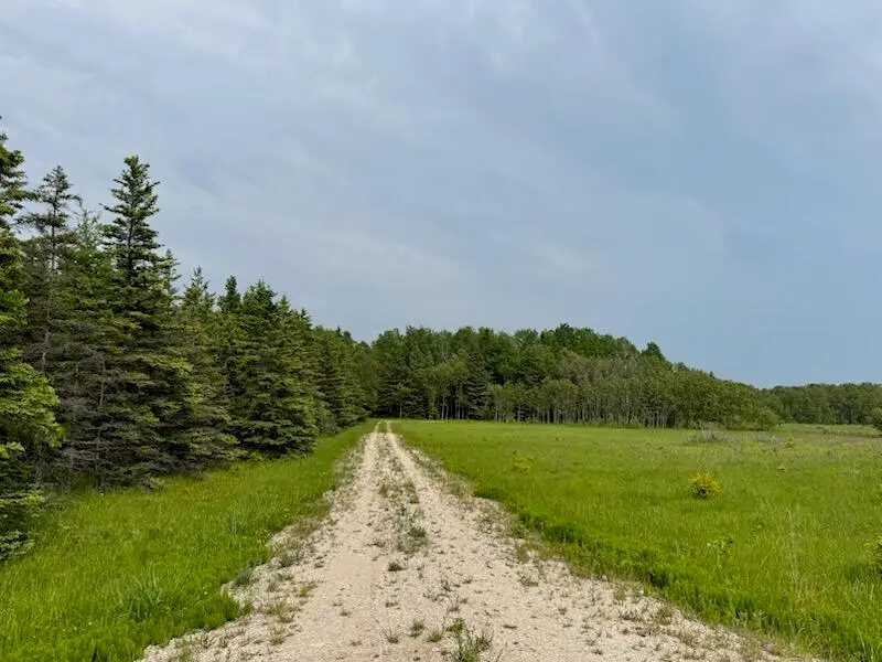 000 N Indian Trl, Engadine, MI 49827 - #3