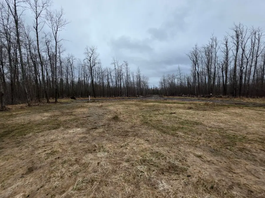 11080 E 14 Mile Road, Barbeau, MI 49710 - Image #3