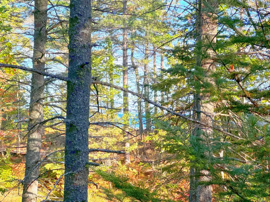 LOT 7 Third Creek Subdivision, Paradise, MI 49768 - Image #2