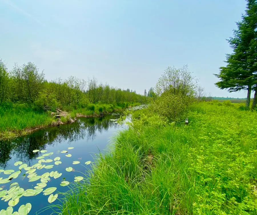 0000 Sage River, Newberry, MI 49868 - #2