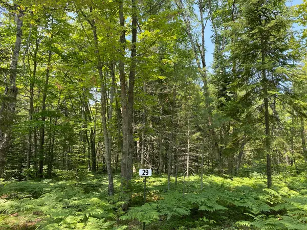 Lot 29 Third Creek Subdivision, Paradise, MI 49768
