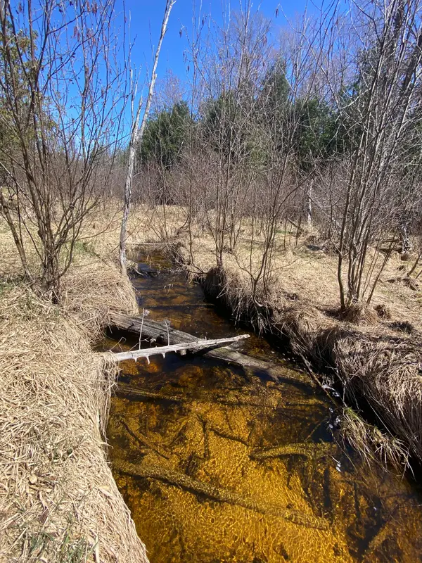 15534 E M-48, Goetzville, MI 4976