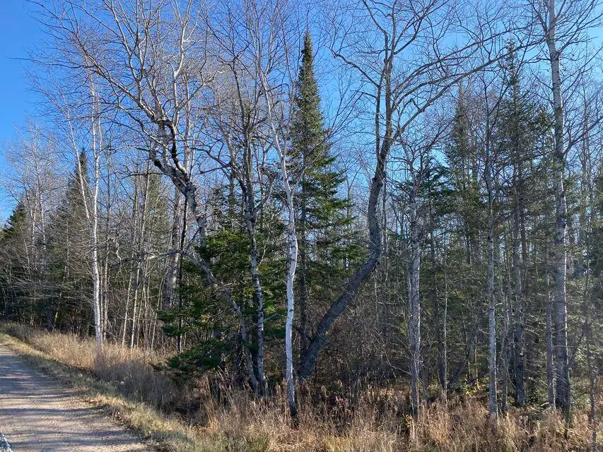 00 W 16th Ave, Sault Ste Marie, Sault Ste Marie, MI 49783 - Image #1