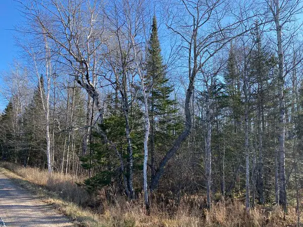 00 W 16th Ave, Sault Ste Marie, Sault Ste Marie, MI 49783