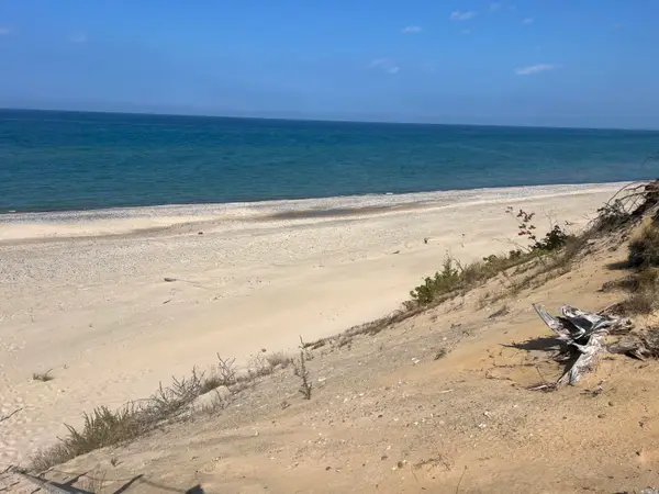 17866 Loonatic Dr, Newberry, MI 49868