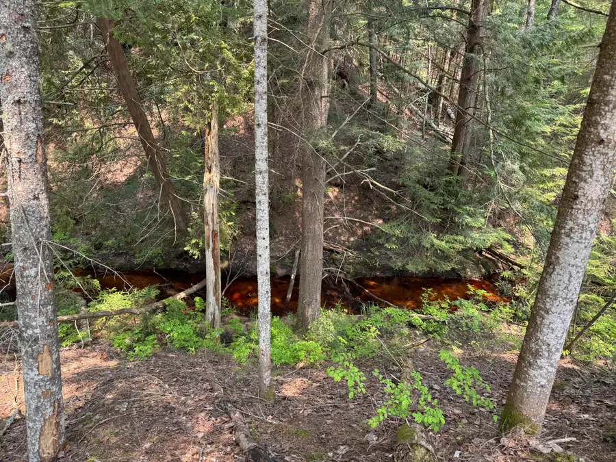 32372 W Old Chip Rd, Paradise, MI 49768 - Image #2