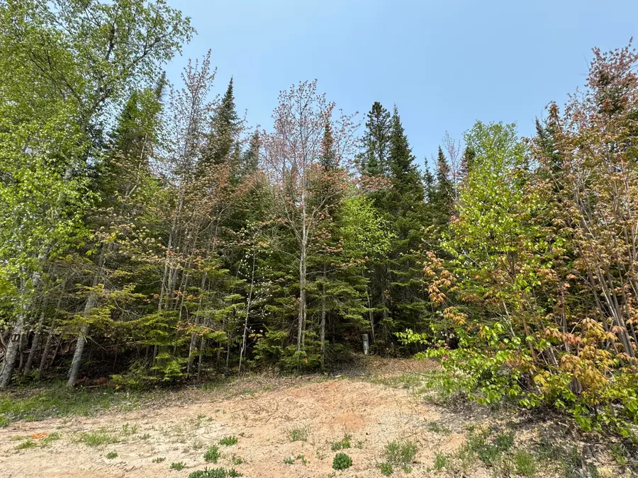 32372 W Old Chip Rd, Paradise, MI 49768 - Image #3