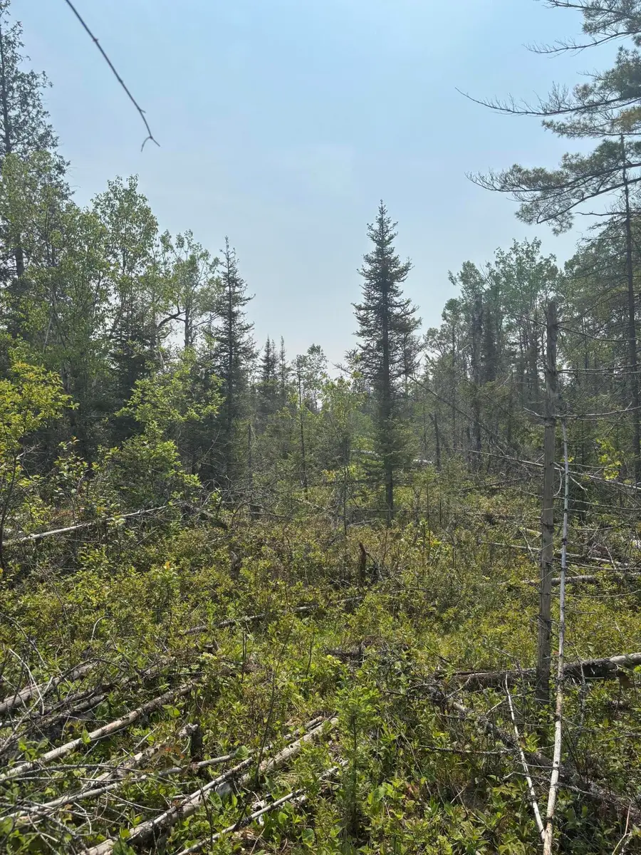 TBD W M-134 Hwy, Hessel, MI 49745 - Image #2