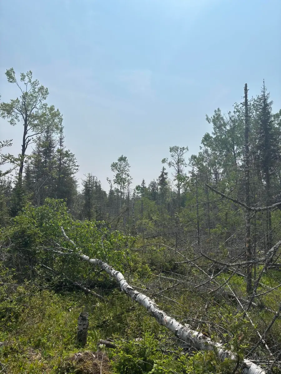 TBD W M-134 Hwy, Hessel, MI 49745 - Image #3