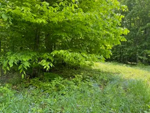 000 Co. Rd 98 & Co Rd 479, McMillan, MI 49853 - Image #2