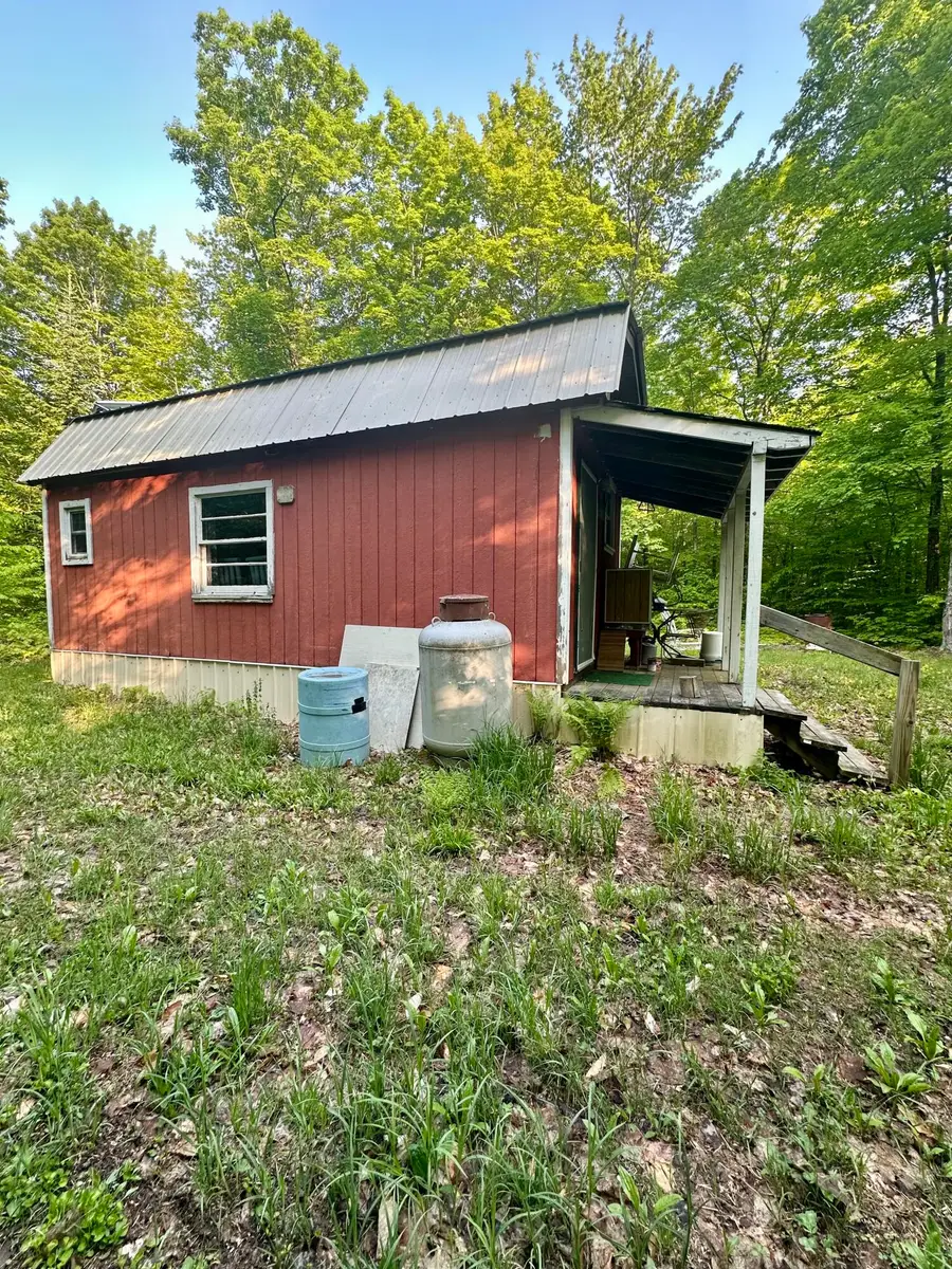 21821 Krenkel Tr, Newberry, MI 49868 - Image #3