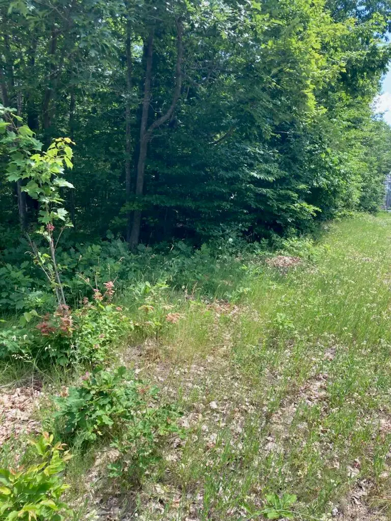 7347 Paradise Trl, Carp Lake, MI 49718 - Image #3