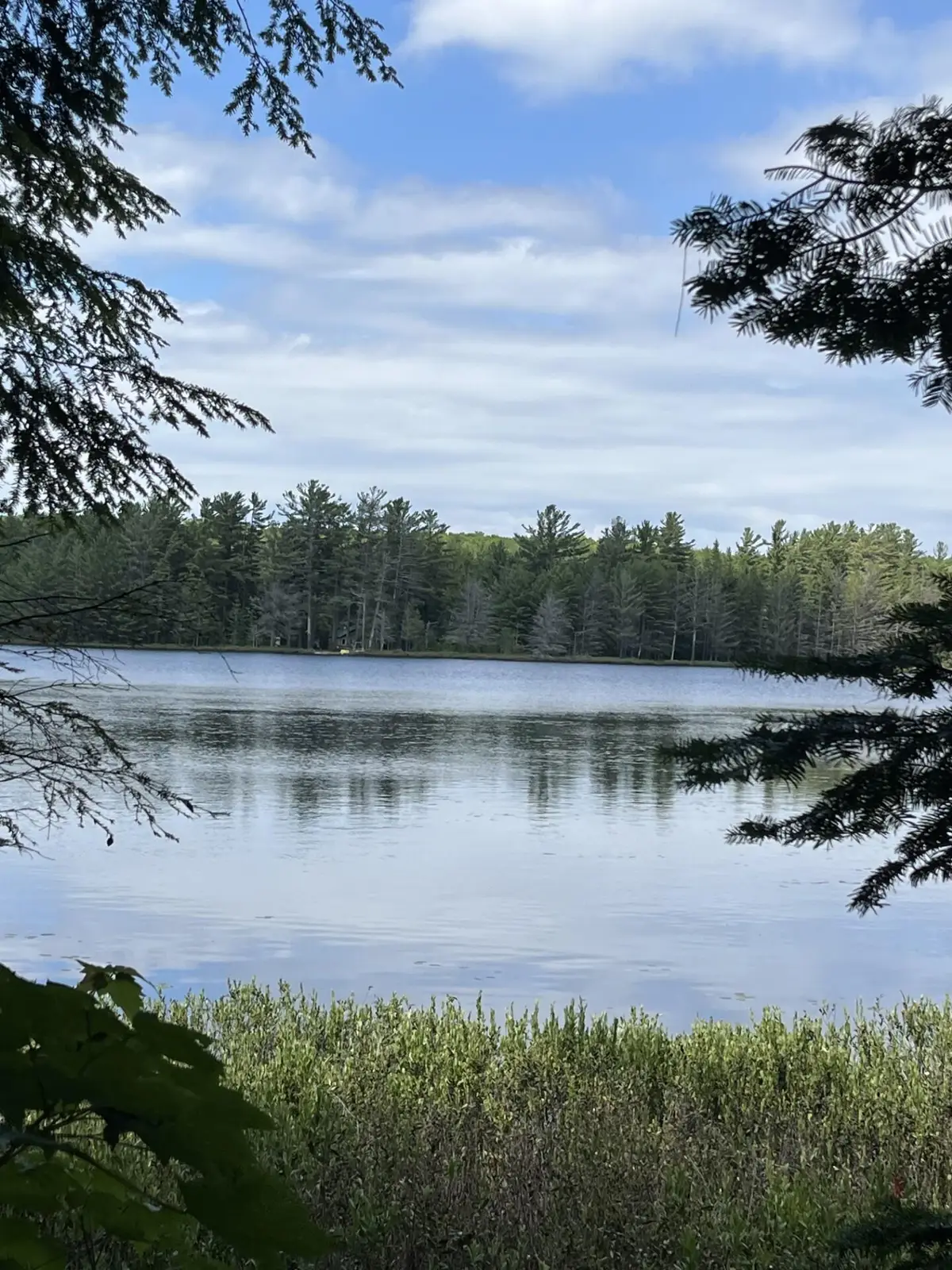 000 W Chesbrough Lake Road, Newberry, MI 49868 - Image #1