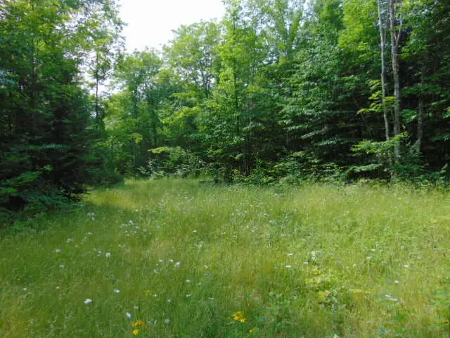 12131 W Chesbrough Lake Road, Newberry, MI 49868 - Image #2