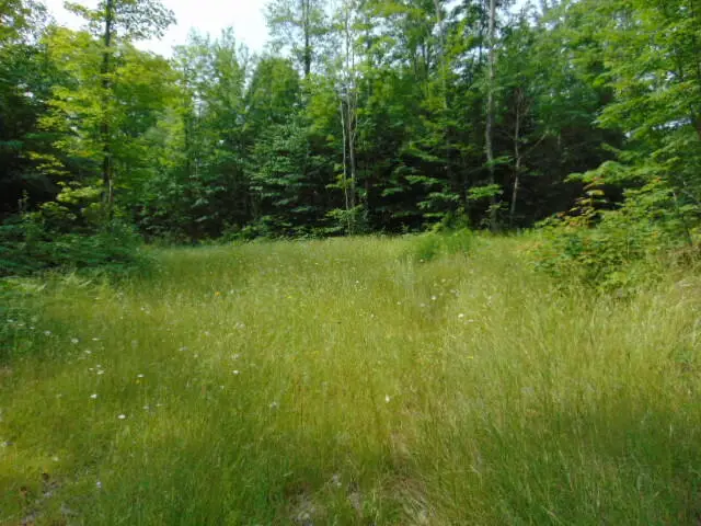 12131 W Chesbrough Lake Road, Newberry, MI 49868 - Image #3