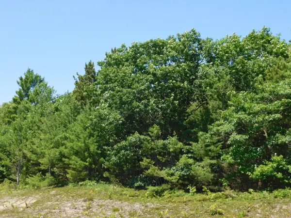 TBD E M-134 Hwy, De Tour Village, MI 49725