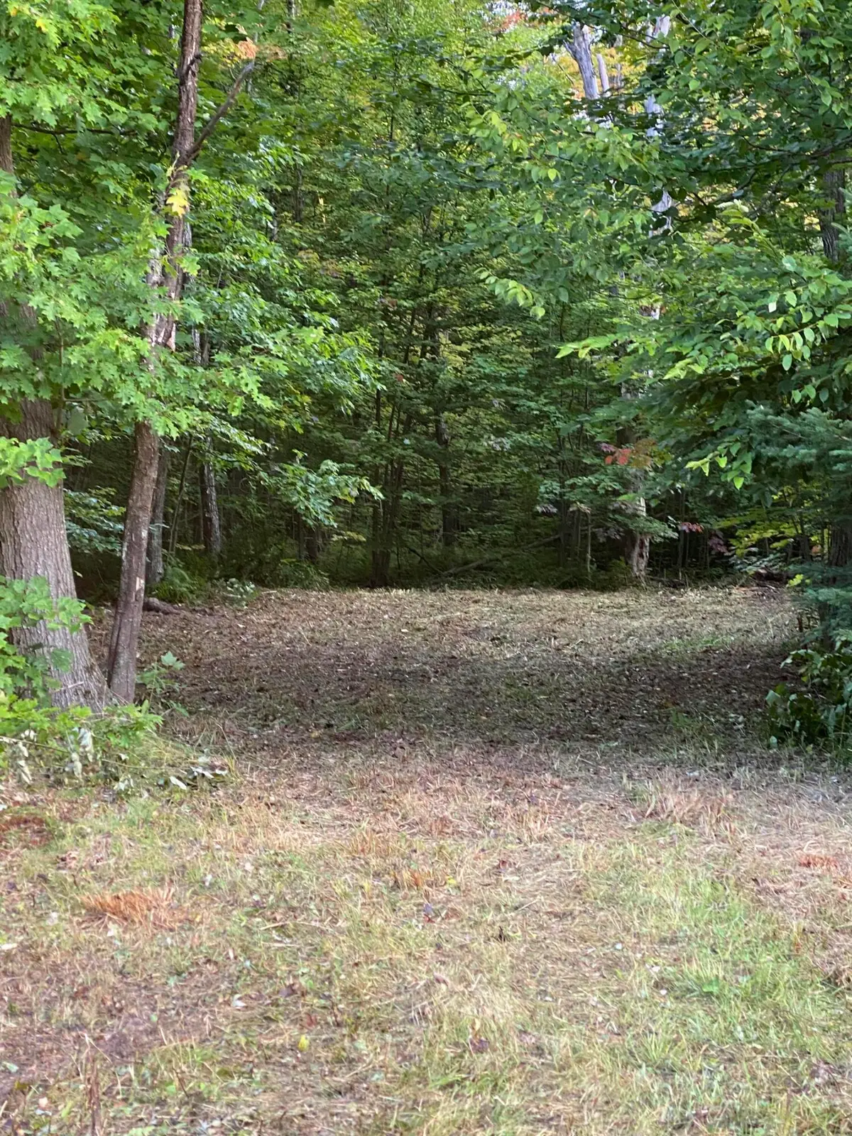 000 N Brasser Rd, Sugar Island Township, MI 49783 - Image #1