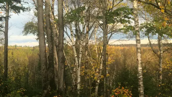 Lot 13 W Cedar Dr, Sault Ste Marie, MI 49783