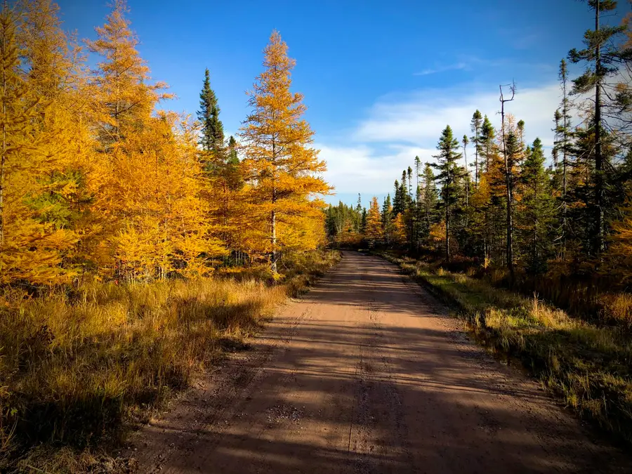 Lot 19 W Cedar Dr, Sault Sainte Marie, MI 49783 - Image #3