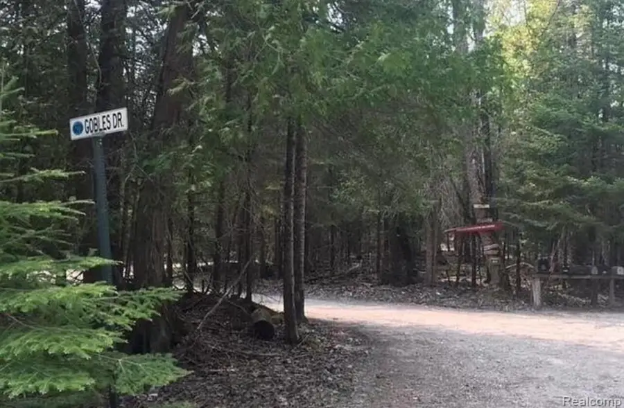 C03101400 Gobles Dr, Pointe Aux Pins, MI 49775 - Image #3