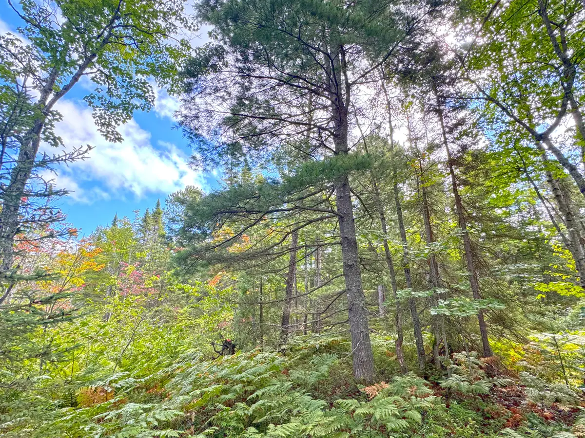 14599 N Whitefish Point Rd, Paradise, MI 49768 - Image #1