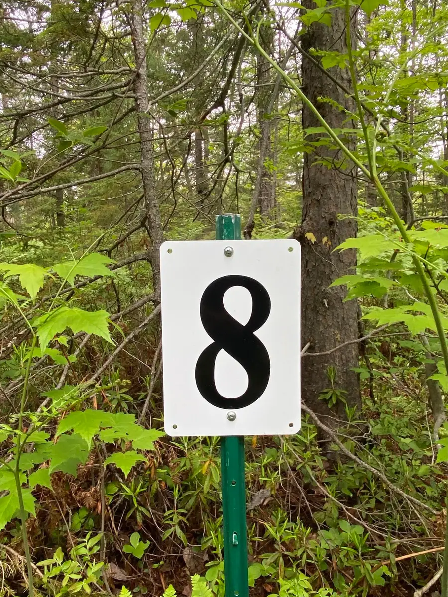 14599 N Whitefish Point Rd, Paradise, MI 49768 - Image #2