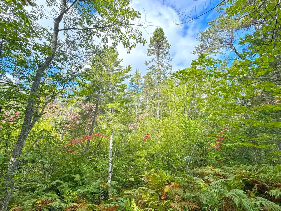 14599 N Whitefish Point Rd, Paradise, MI 49768 - Image #3