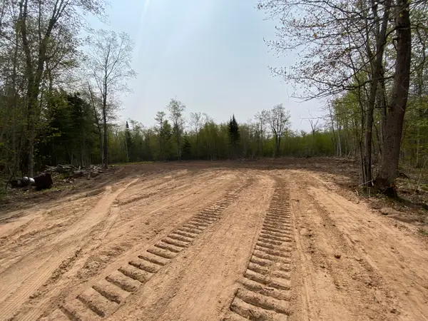 10 Acres Brasser, Sugar Island, MI 49783