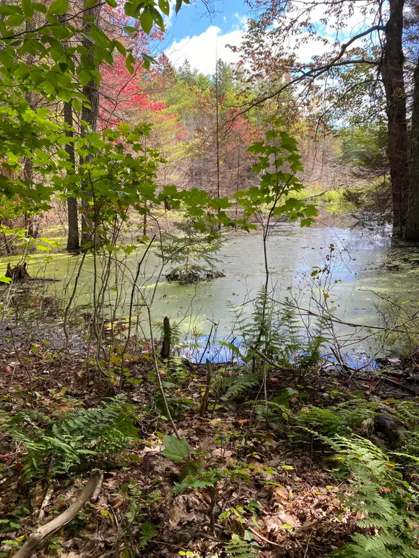 29084 Cr 455, McMillan, MI 49853