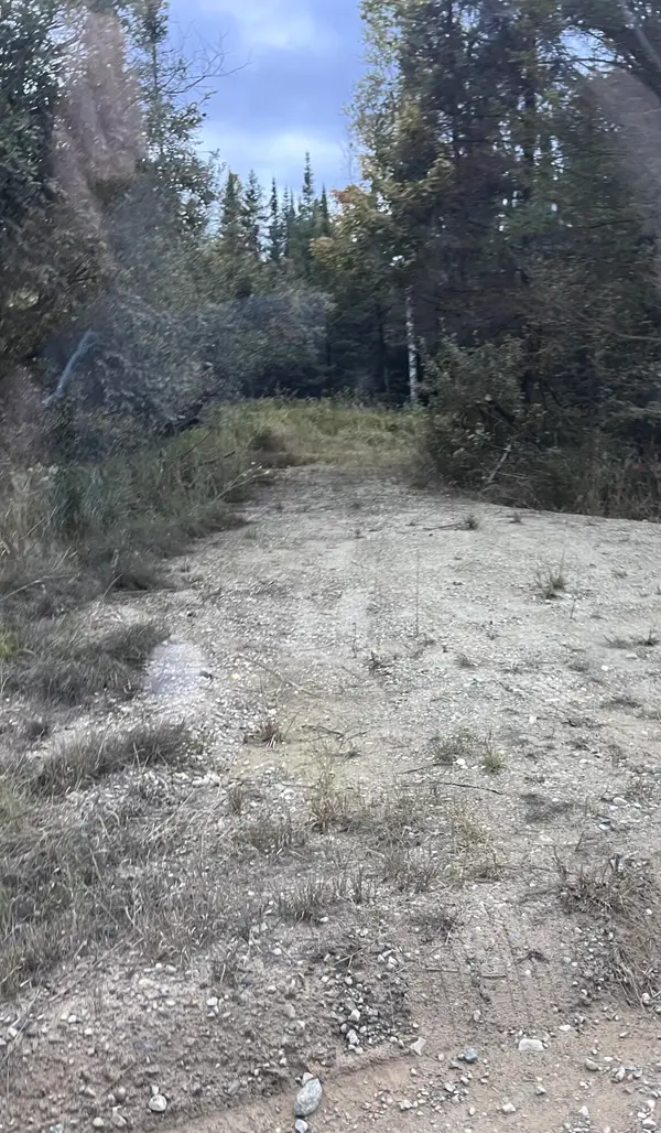 80 AC N Co Road 415, McMillan, MI 49853