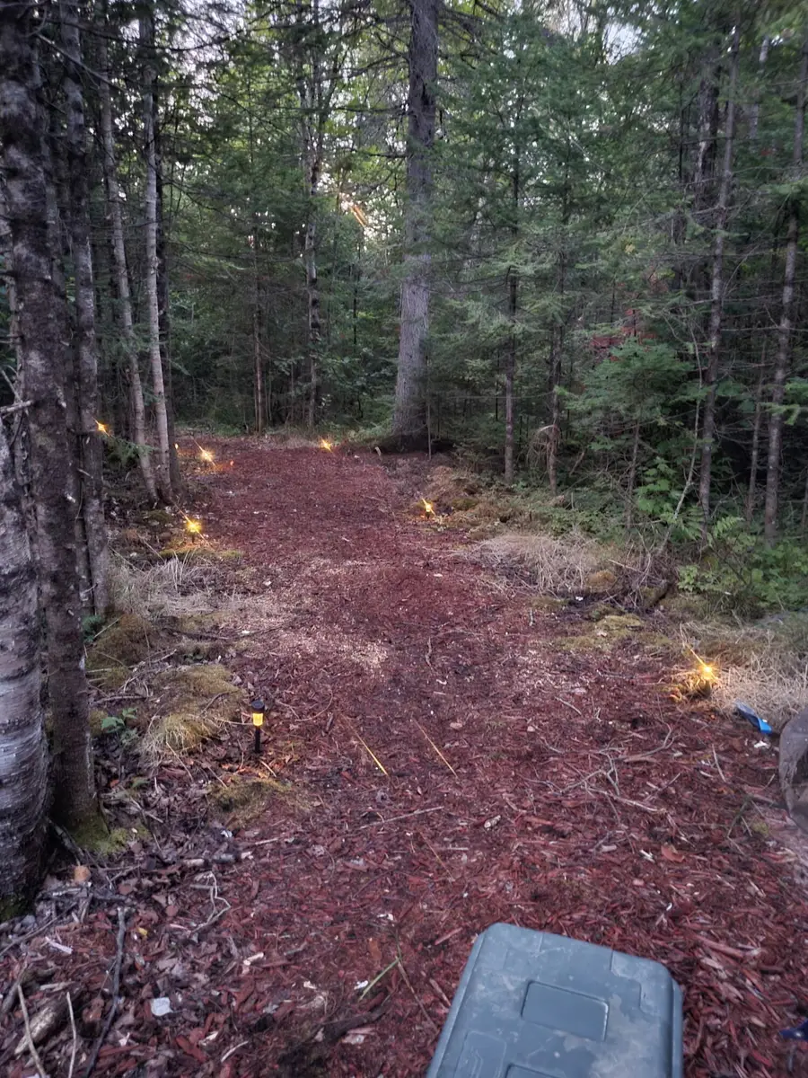 80 AC N Co Road 415, McMillan, MI 49853 - Image #2