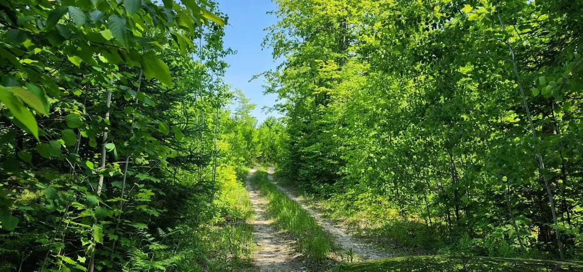 400 Trophy Ln, Hessel, MI 49745 - #1