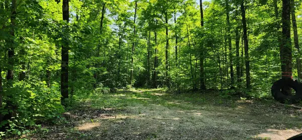 80 W Trophy Ln, Hessel, MI 49745