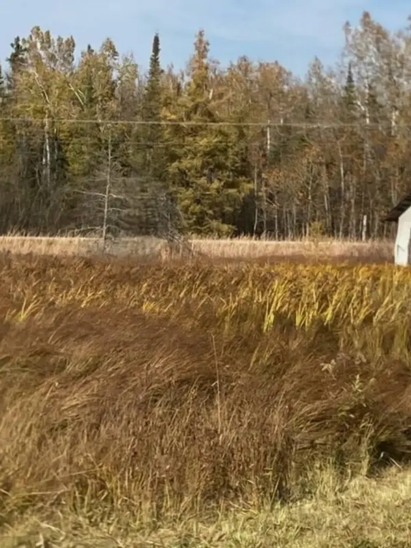 4365 W M48, Pickford, MI 49774