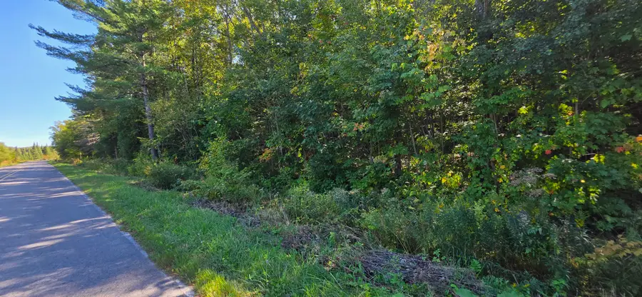 0 E Northshore Dr, Sugar Island, MI 49783 - #2