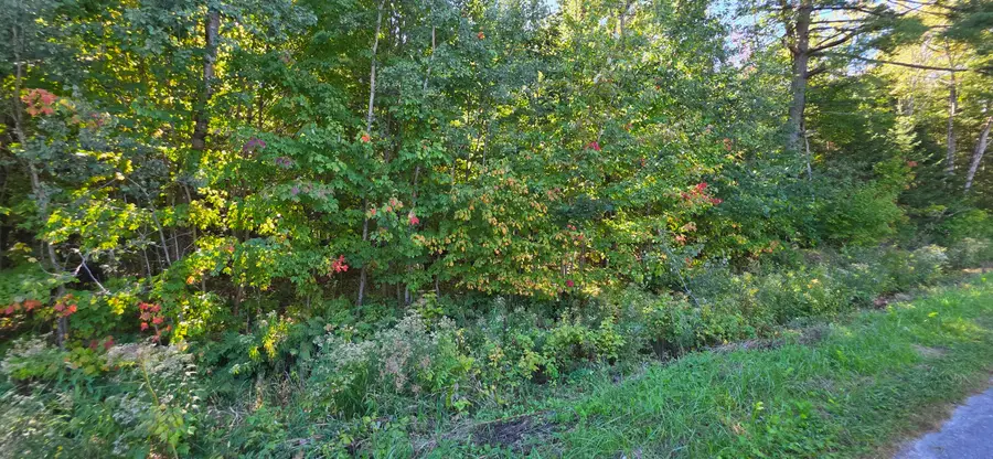 0 E Northshore Dr, Sugar Island, MI 49783 - #3