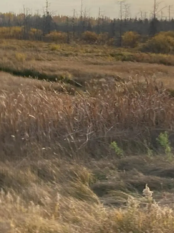 0 W M48, Pickford, MI 49774