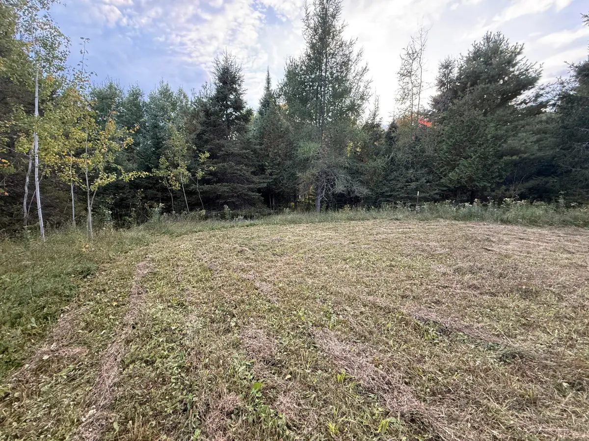 7892 E 4 Mile Rd, Sugar Island, MI 49783 - #1