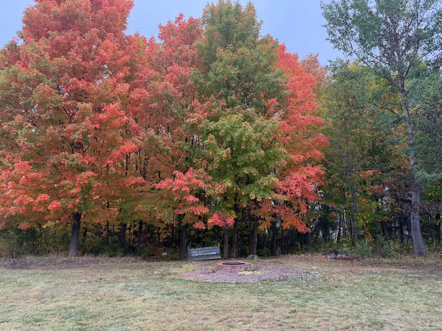 12877 M-129, Bruce, MI 49783 - #2