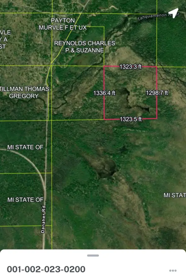000 County Road 442, McMillan, MI 49853