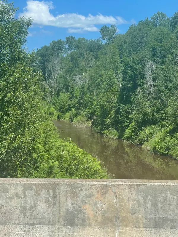 TBD W Prairie Rd, Rudyard, MI 49780