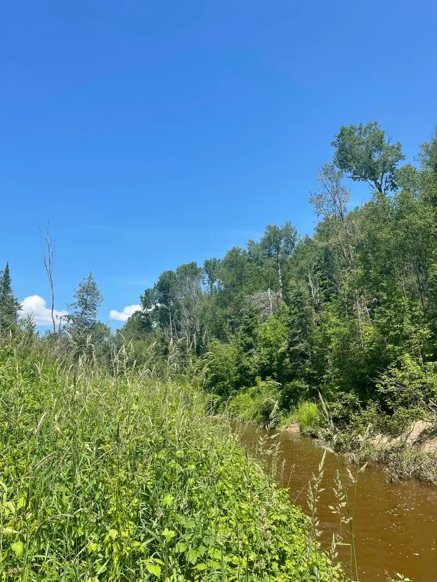 TBD W Prairie Rd, Rudyard, MI 49780 - #3