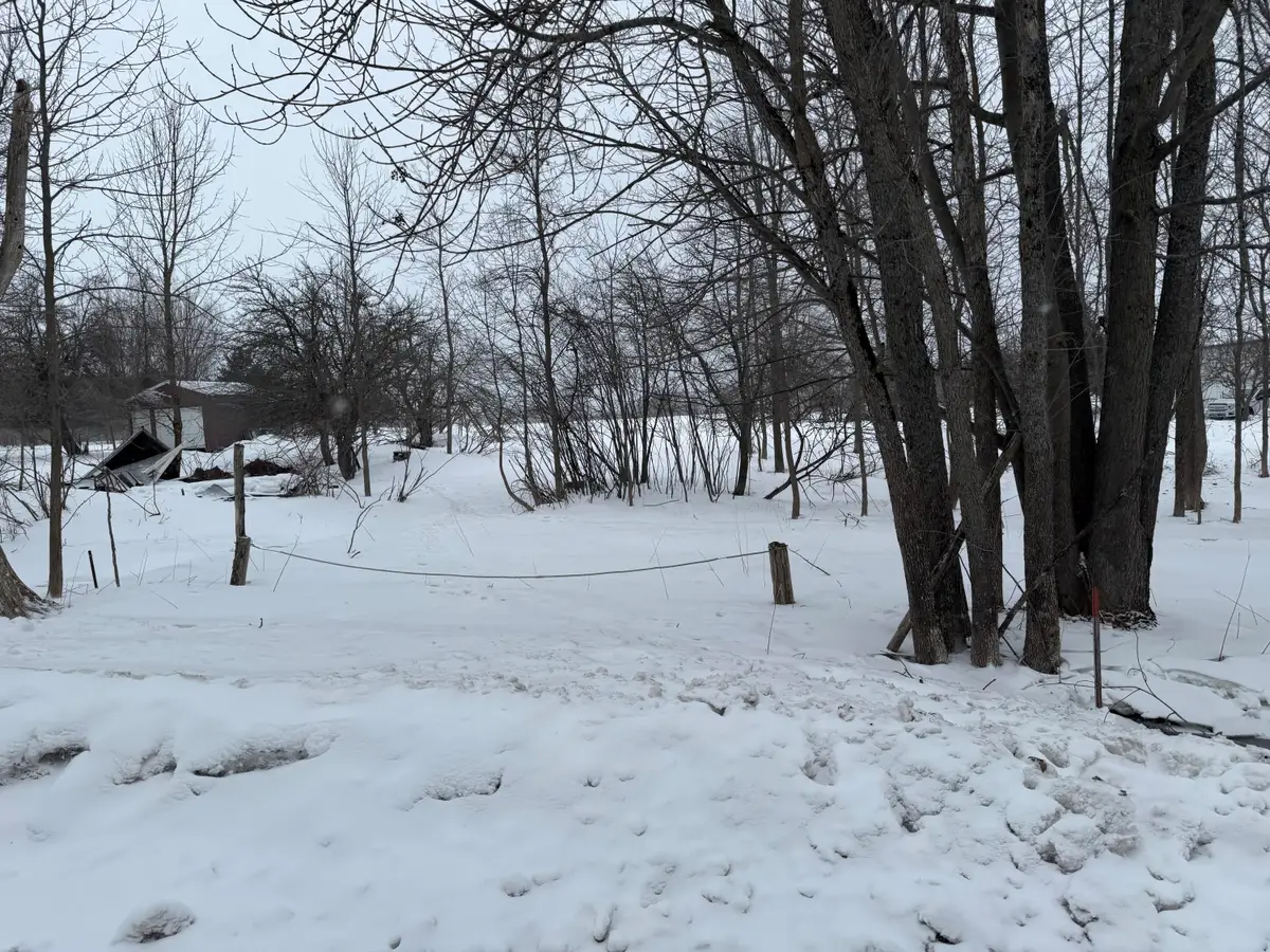 L68-1/2 67 Greenfield Shores Dr, McMillan, MI 49853 - #1