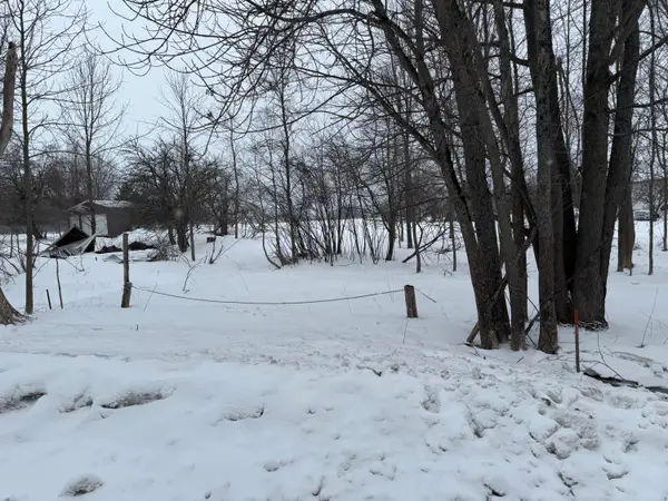 L68-1/2 67 Greenfield Shores Dr, McMillan, MI 49853