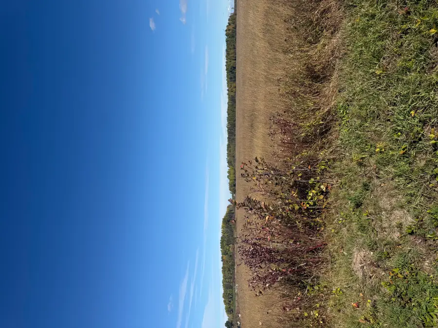 Parcel 9 Town Line Rd, Pickford, MI 49774 - #3