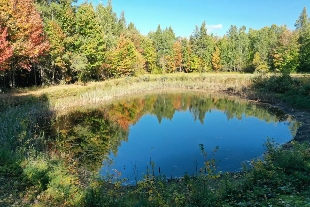 TBD E 8 Mile Rd, Sugar Island, MI 49783 - #1