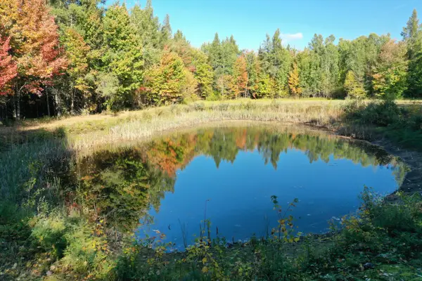 TBD E 8 Mile Rd, Sugar Island, MI 49783