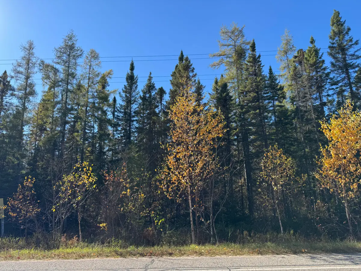 11401 N Whitefish Point Rd, Paradise, MI 49768 - #1